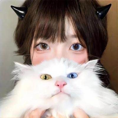 尝试第四季